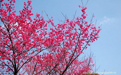 照片：「Jan」BLOG